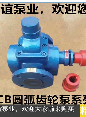 高温电动YCB1.0/0.6 圆弧齿轮油泵润滑泵抽油泵齿轮油泵整机