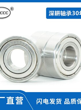 不锈钢轴承SS 6200/6201/6202/6203/6204/6205/6206/6207 ZZ -2RS