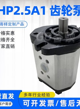 Boden齿轮泵BHP2.5A1D45C1F1/BHP2.5A1D40C1F1/BHP2.5A1D36C1F1泵