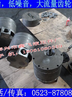 TXLB大流量油泵XTCB-B700齿轮泵DCB-B700液压油泵CB-BM700