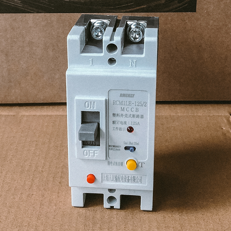 CM1LE单相2P漏电断k路器63A 80A 100A 125A 220V 250A空气开关160