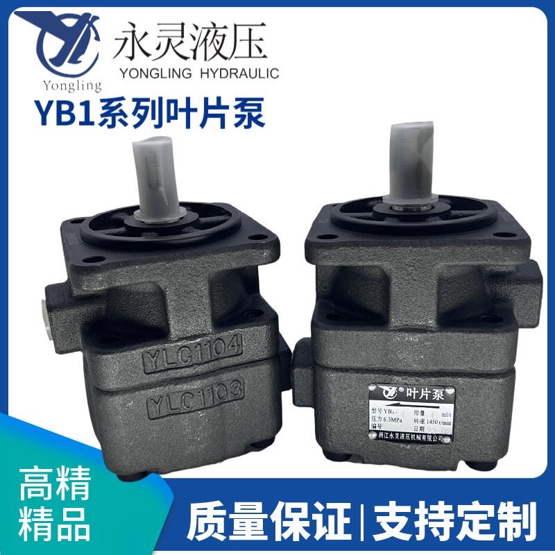 新款仙居永灵叶片泵YB1-100/6.3/10/1D2.5/16/20/25/32/63/80/
