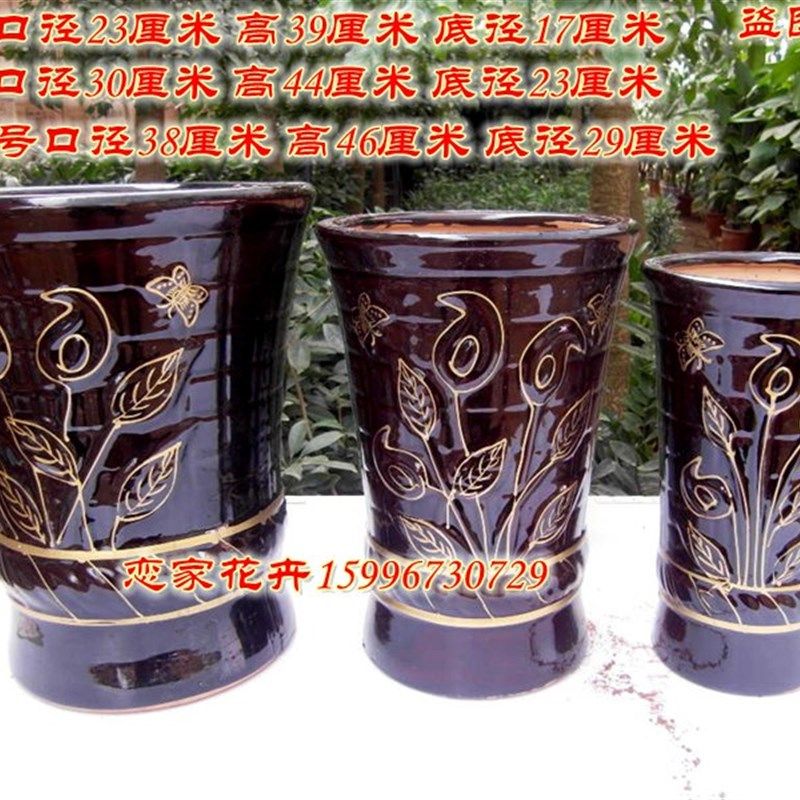 发财树幸福树大型盆栽大号陶瓷盆蝴蝶兰种树特大号陶瓷花盆