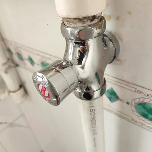 厕所冲水手按式蹲便器冲洗门开关延时卫生间大便器按压便池