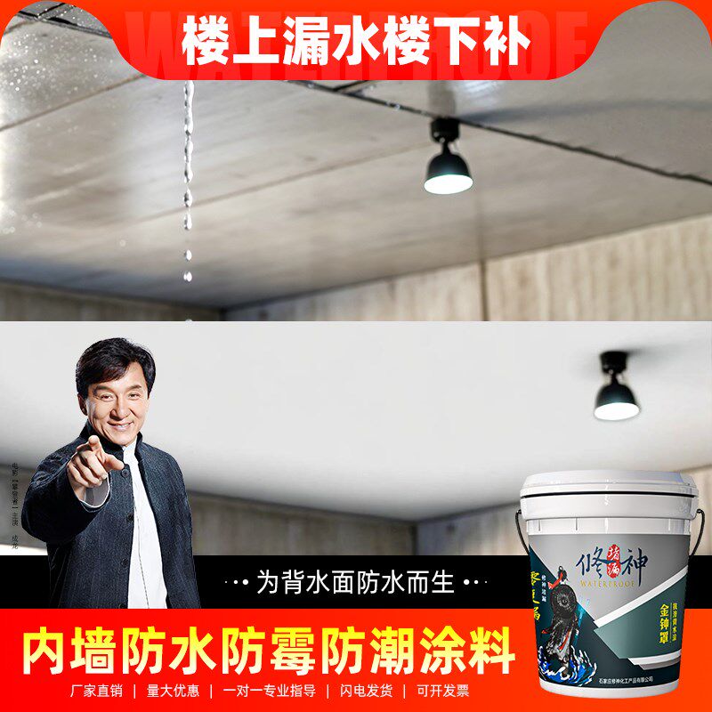 内墙专用防水防霉涂料室内背水面防潮H材料返碱白色自刷负压补漏