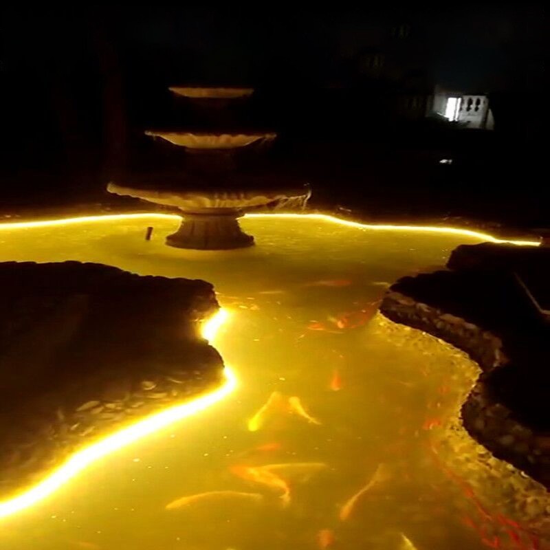 水下鱼池鱼缸灯ld灯水底景观硅胶管泡水软灯条灌胶防水灯带