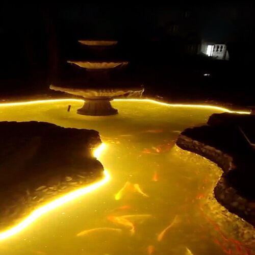 水下鱼池鱼缸灯ld灯水底景观硅胶管泡水软灯条灌胶防水灯带