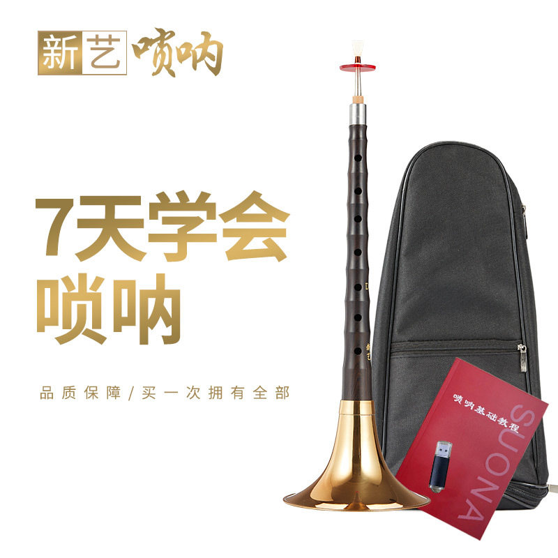 新艺乌木唢呐演奏级全D调唢呐初学者入门级大小号喇叭