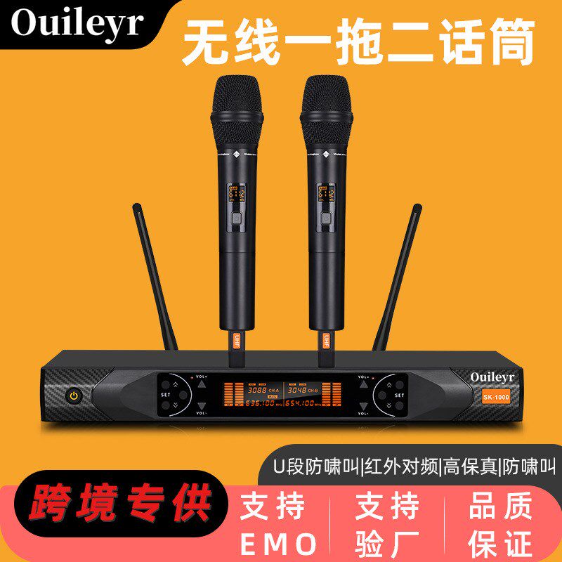 段麦风一拖二话筒调频话筒舞台学校演出唱歌歌家
