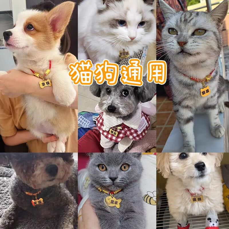 狗狗牌身份牌定制宠物猫咪小型犬泰迪犬防走丢牌刻字手工项圈吊牌