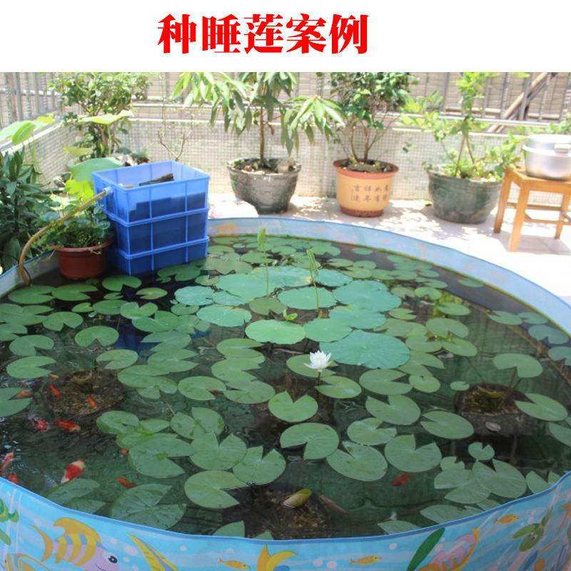 儿童免充气游泳池宠物狗戏水池蓄水池加大号养鱼池小孩洗澡玩水池