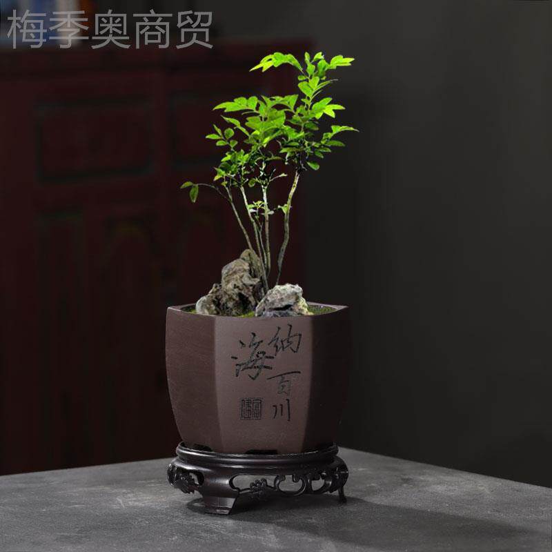 紫花盆清特价带仓底座托盘盆景盆兰花文竹小榕绿PDB植多肉树陶砂