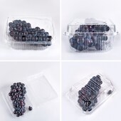 蔬果乐SGL 38一次性透明塑料蔬菜盒葡萄鲜果切高透加厚水果盒两斤