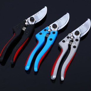 现货供应长春藤果枝剪 实用锁扣镀铬弹簧园艺修枝剪