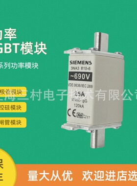 熔断器全新3NA3224 3236 3240 3242 3250 3244 3252 3260-2C