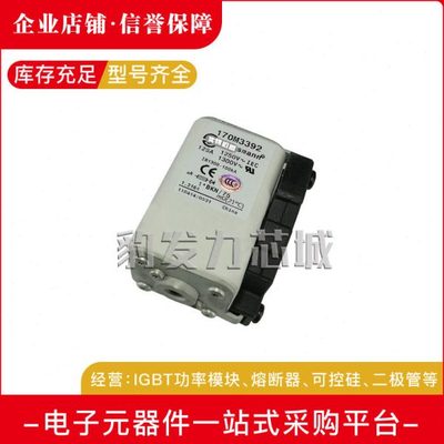 170M3558/3559/3560/3561/3562/3563-3566-3568/3569/-3573熔断器