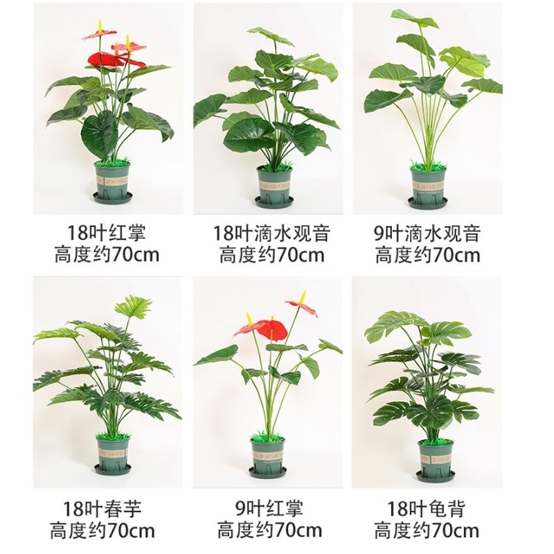 北欧仿真盆栽植物摆件假绿植盆景 办公室家居装饰龟背叶小盆栽,模玩/动漫/周边/娃圈三坑/桌游,桌游配件/卡套/保护膜,淘宝优惠券,粉丝福利购,淘宝优惠卷