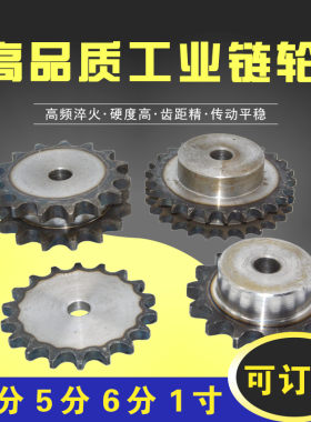 链轮5分单排平片配10A-1链条节距15.875mm10齿到31齿可以加工定做