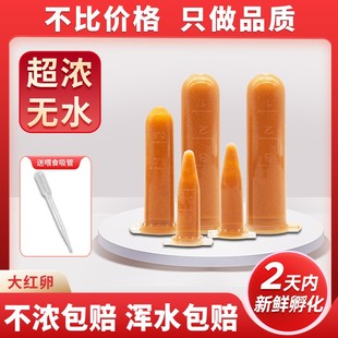 丰年虾卵卤幼虫免孵化大红卵超细卵冷冻冰冻饲料小幼型鱼苗开口粮