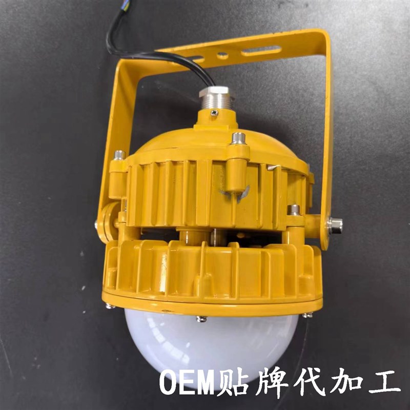 同款海洋王BPC8767LED防爆平台灯50w防爆泛光灯发电站应急吸顶灯