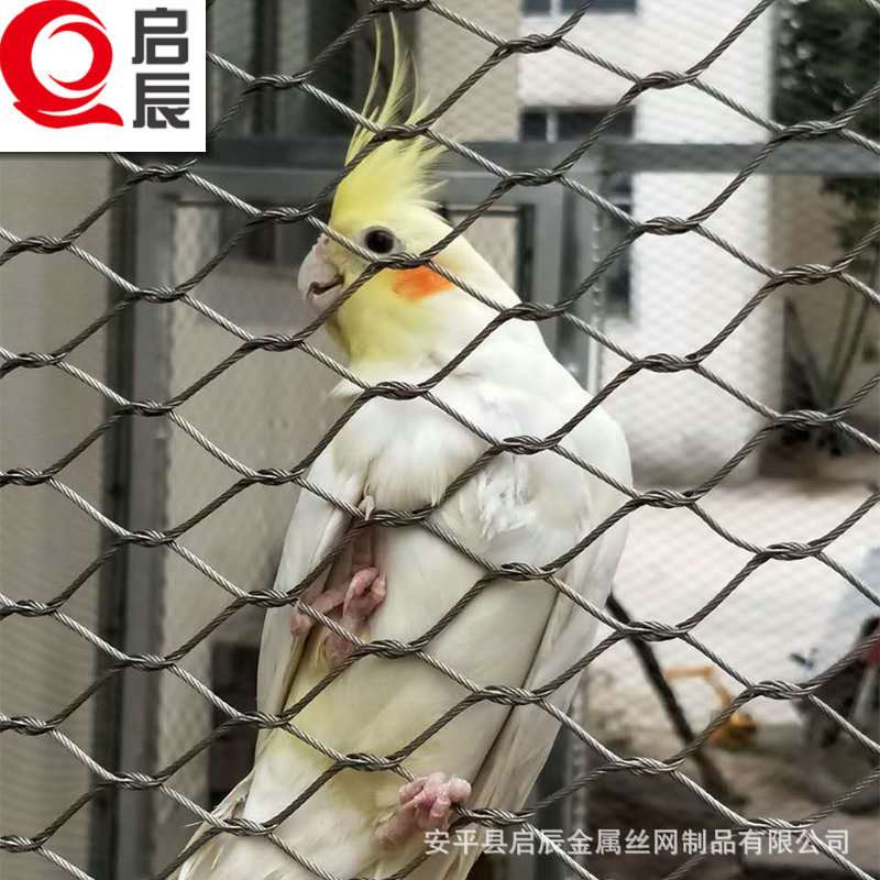 不锈钢绳网 鸟笼舍围网 百鸟园网 动物园鸟语林网生产厂家