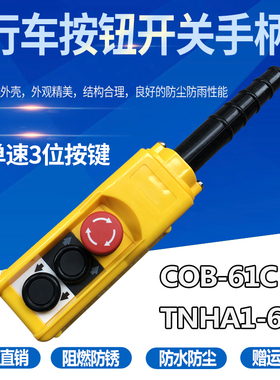 行车按钮开关COPC-AP1吊车按钮起重机按钮盒手电门 货车尾板按钮