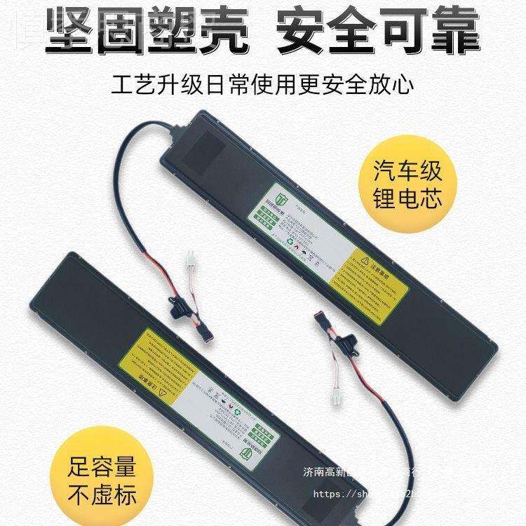 电动车置锂电池A48V2DYQh电瓶单车大容量喜德盛通用大管1动力电内