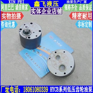 B32 B40 B100 B16 B125低压齿轮油泵泵头 B80 B20 B63 HYCB B50