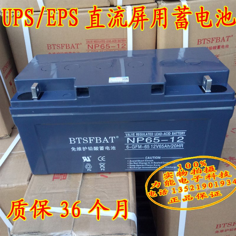 BTSFBAT蓄电池NP65-12 12V65AH电池 直流屏UPS不间断电源质保三年