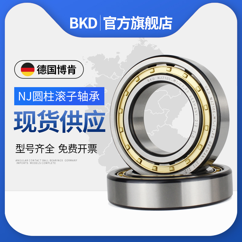 德国BKD进口轴承NJ303/304/305/306/307/308/309/310 EM P5 P4