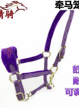 笼马头全套马头ECU牵马具调教大笼小新疆嚼子精术用品马10一马嘴
