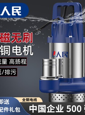 人民电器无刷直流潜水泵高扬程24V48V60V72V抽水家农用灌溉抽水泵