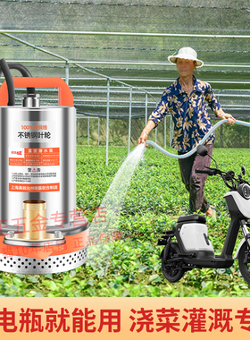 直流潜水泵12V48V60V家用电瓶车抽水机迷你小型电动农用浇菜神器
