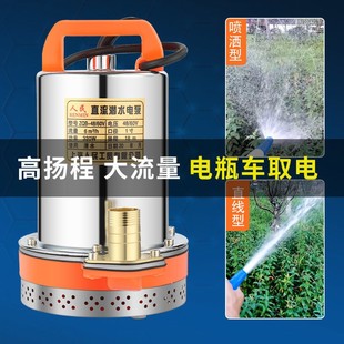 上海人民12V24V48V60V直流潜水泵抽水泵家用农用刷车电动车高扬程