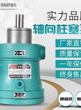 2.5MCY5MCY10MCY25MCY40MCY63MCY80MCY160MCY14-1B轴向柱塞泵