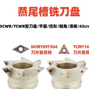 DCWR数控燕尾槽刀盘清根燕尾V槽铣刀盘TCWR内孔鸠尾刀盘55度60度