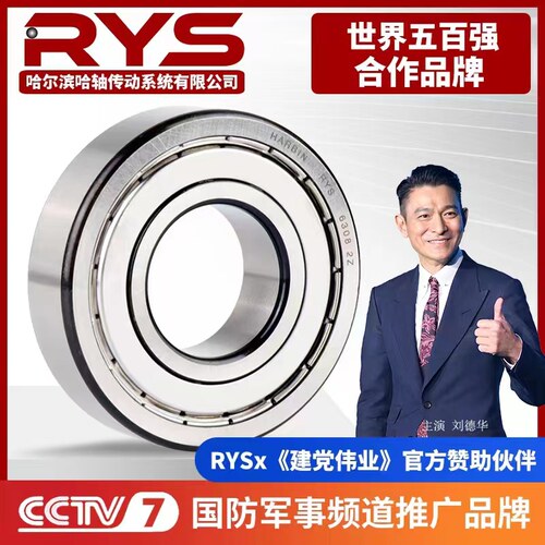 RYS 哈轴传动 6005 6006 6007 6008 6009 - ZZ 2RZ 官方自营