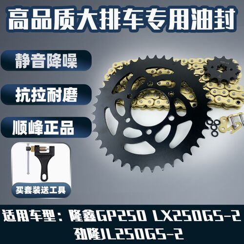 适用隆鑫GP250 LX250GS-2劲隆JL250GS-2大齿盘炼盘油封炼条三件套
