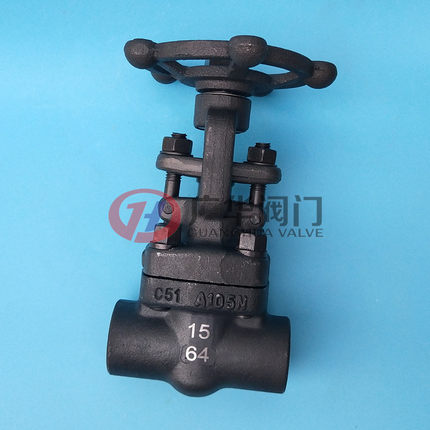 A105锻钢承插焊闸阀Z61H-64C插焊式高压明杆手动闸阀温州广华阀门