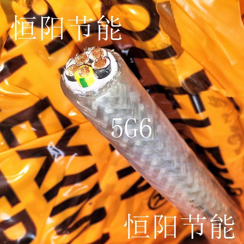 德国进口5芯6平方屏蔽线抗干扰动力电源线机床控制电缆110CY 5G6