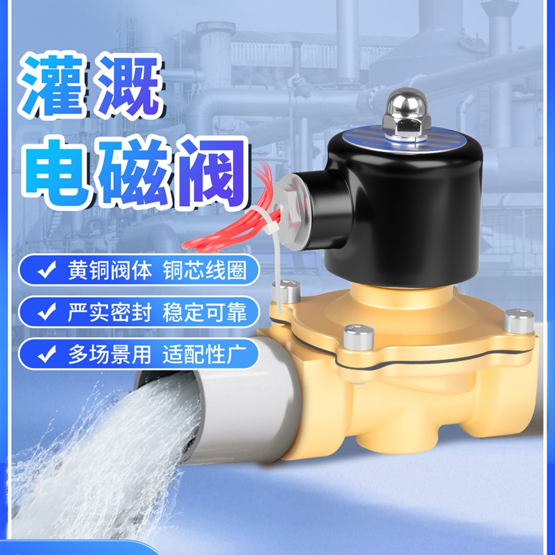 常闭电磁阀220v24v12v自动浇水灌溉控制管道电子开关黄铜水阀阀门