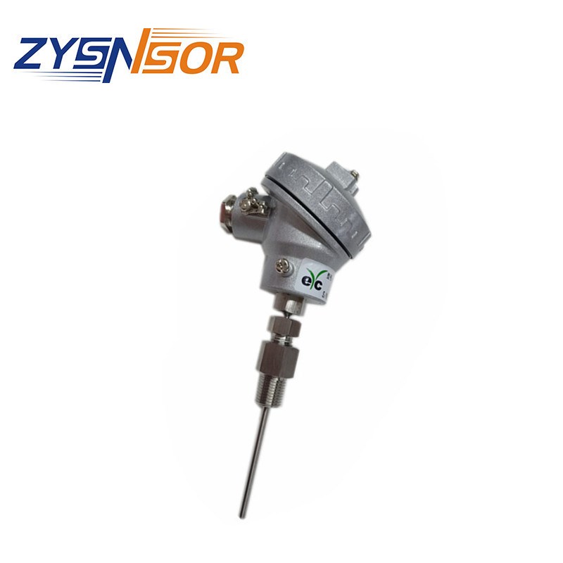 EYC拧入式热电阻R2系列 PT100信号 FPT1/4活动螺纹 管长可选订购