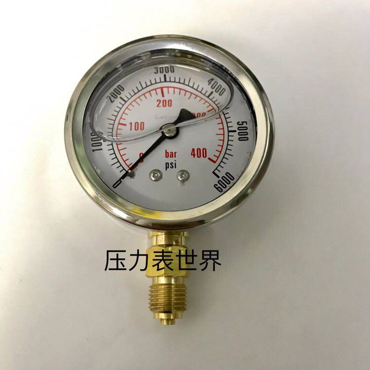 G1/4螺纹 0-400bar 6000psi压力 直径62-68mm充油耐震压力表径向