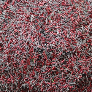 0.5W大红炮电阻 军工品质镀银脚 胆机收音机电阻 铜脚