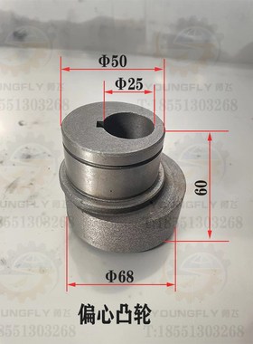 北京X62W XA6132 X63W B1-400W卧式铣床主轴箱25内孔柱塞泵凸轮