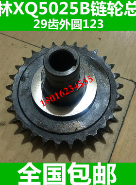 桂林XQ5025B铣床配件  XQ5025B铣床齿轮 XQ5025B铣床超越离合器