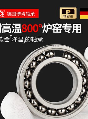 德国BKD进口轴承型号大全BZSY6204ZZ/P5耐高温轴承300度800度