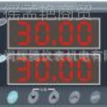 润仪LBL表 WP-D850A-0022上-23-HL-P 数字调节仪WP-S85-022-23-HL