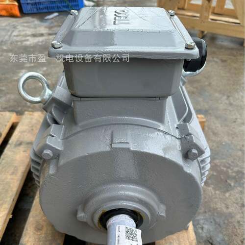 二级能效电机TEV4AEEV4N20HP160L-415W节能效