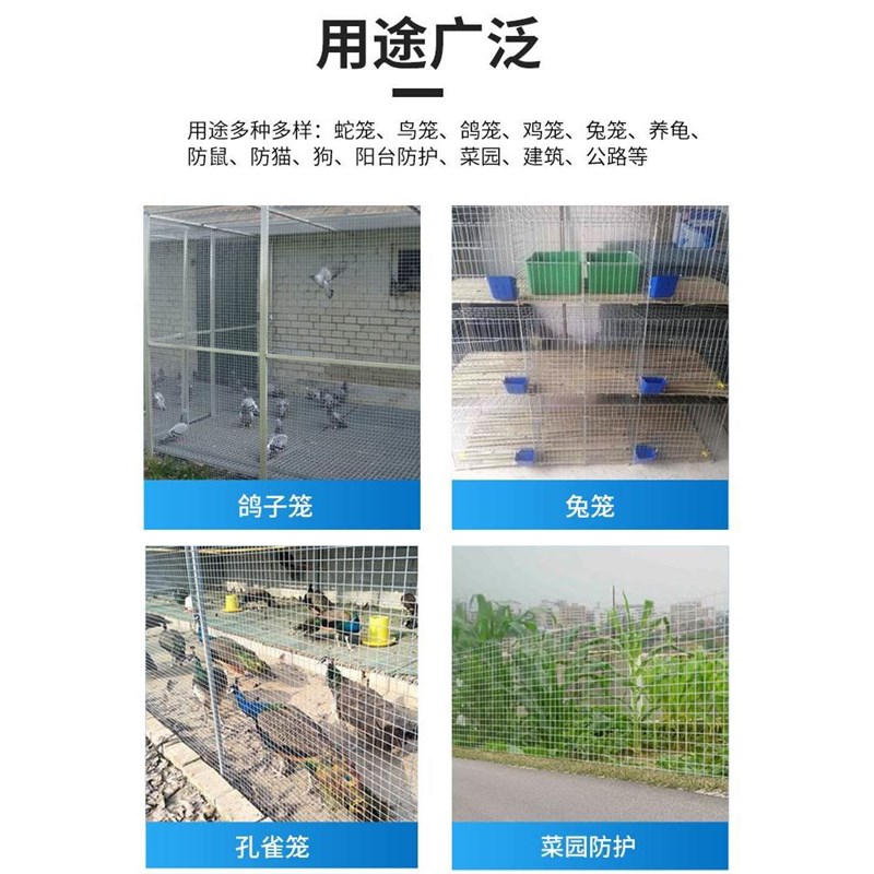 热镀锌铁丝网围栏钢网格养鸡狗电焊网防鼠阳台防护养殖网护栏网